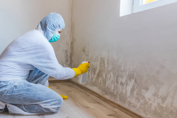 Hvac And Air Duct Mold Remediation inspection of HVAC system in Mickleton